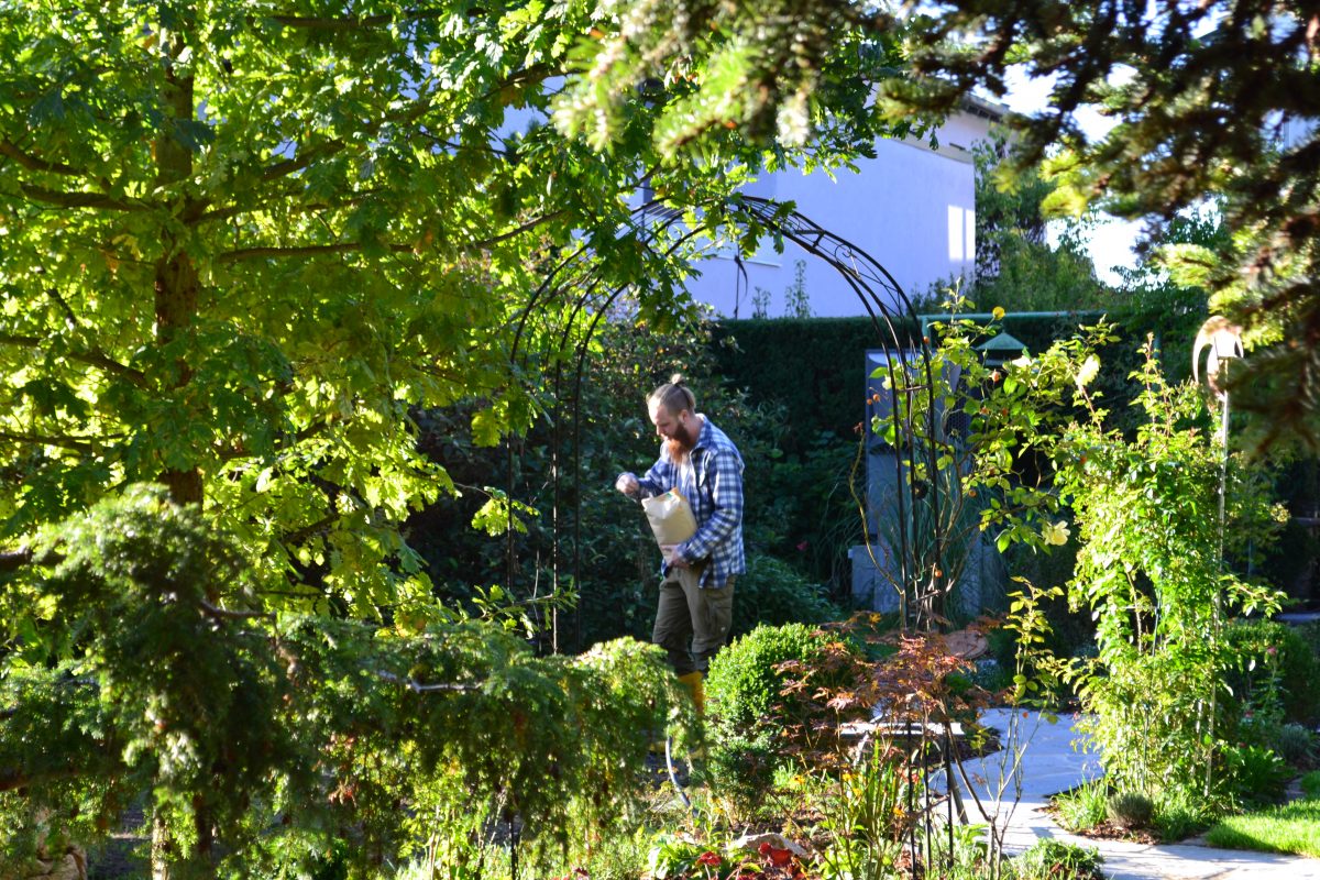DSC_0034